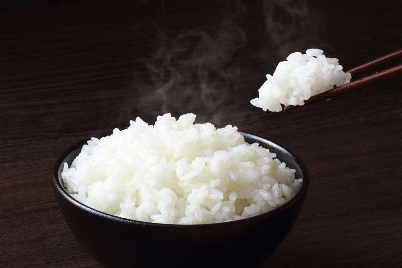 ごはんものは酵素玄米と白米からお好みでお選びいただけます